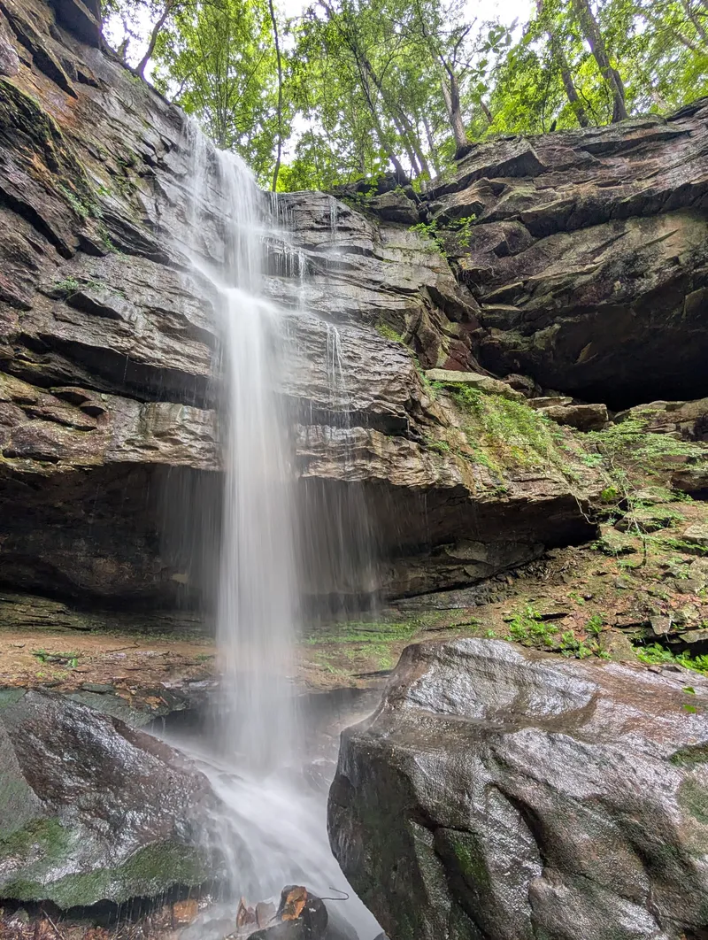 Bankhead National Forest 3