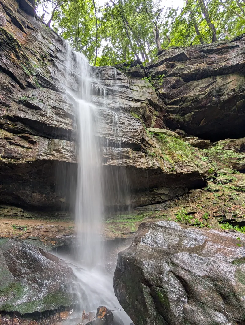 Bankhead National Forest 3