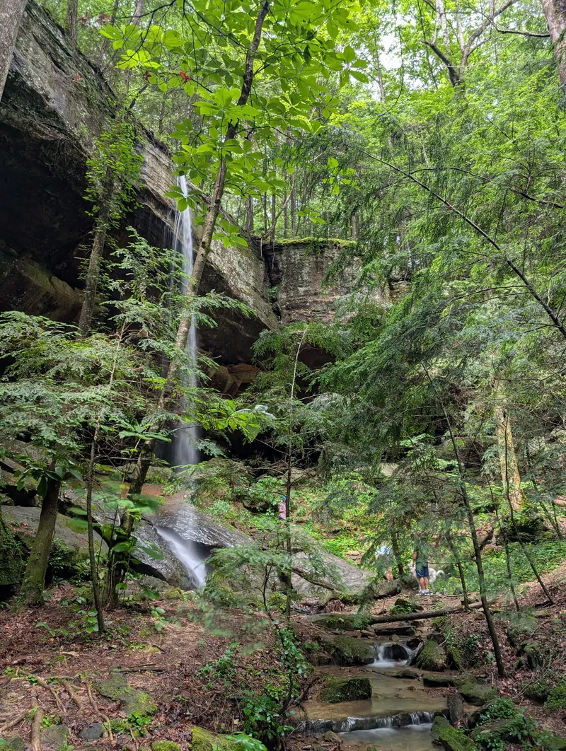 Bankhead National Forest