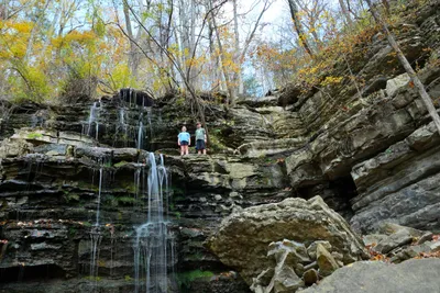 Nature